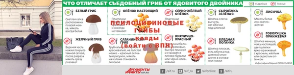 ешки Арсеньев