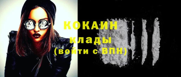 ешки Арсеньев