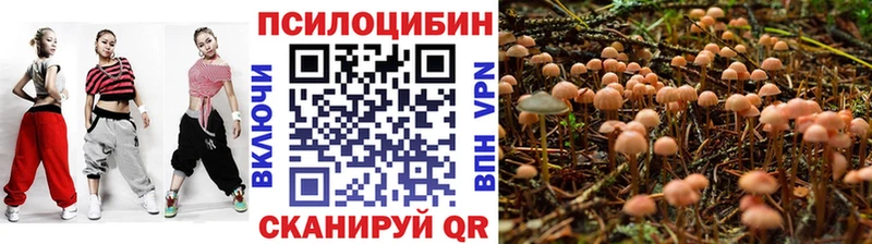 где можно купить наркотик  мориарти состав  Псилоцибиновые грибы мухоморы  Темрюк 