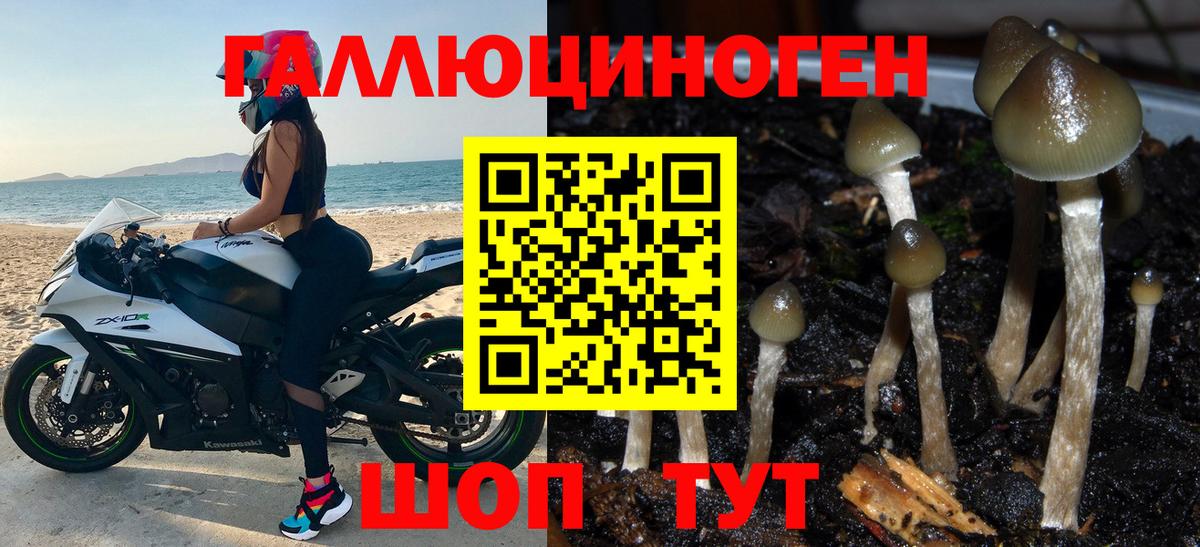 Галлюциногенные грибы MAGIC MUSHROOMS Темрюк